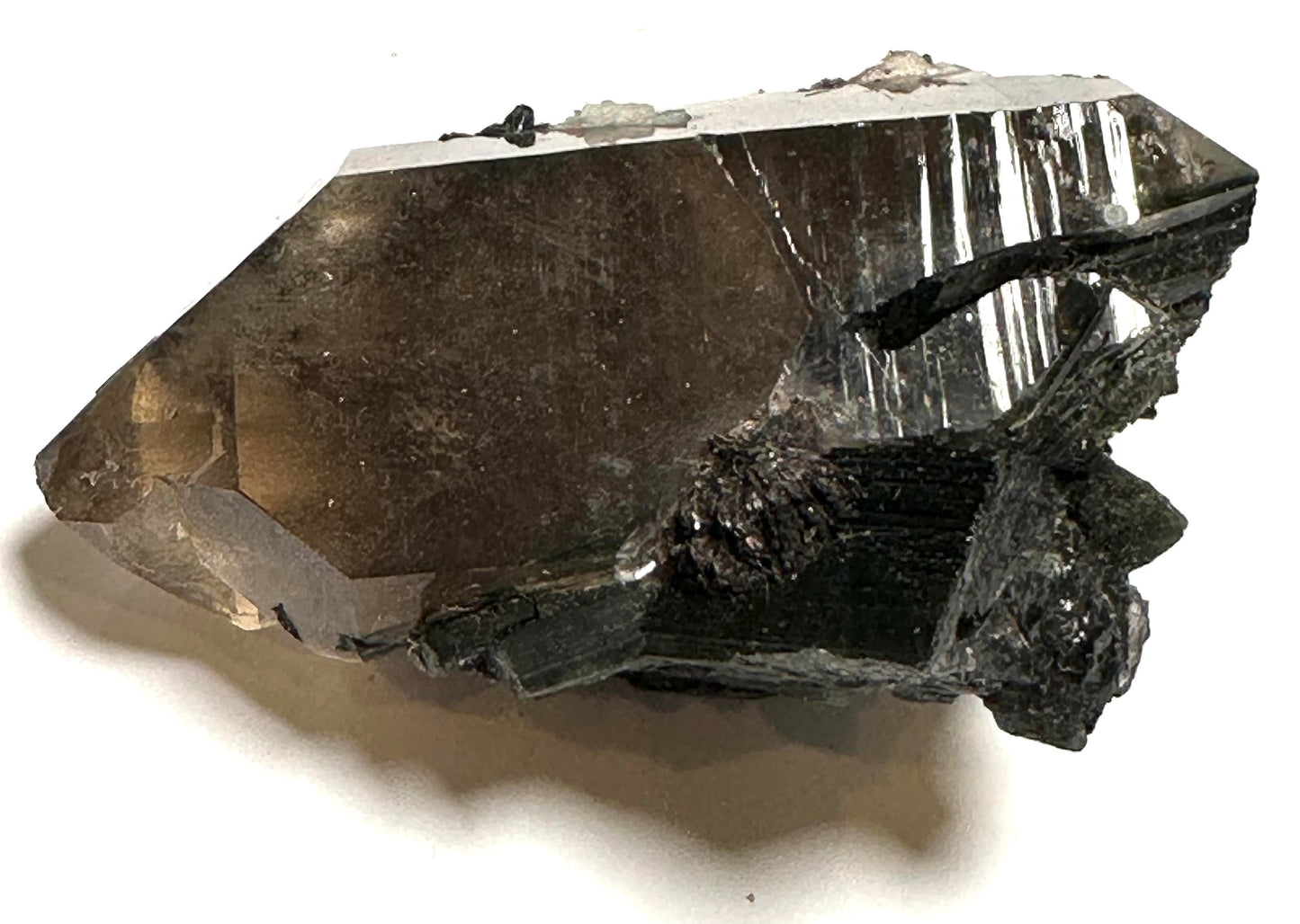Natural Collector Grade Elestial Smoky Quartz with Green Tourmaline from Brazil 32grams #NC7939