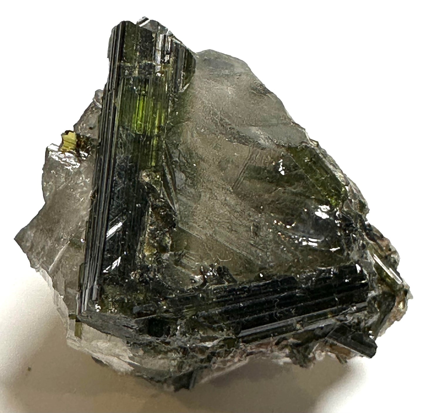 Natural Collector Grade Green Tourmaline in Quartz Crystal from Brazil #NC7936