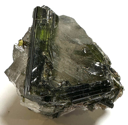 Natural Collector Grade Green Tourmaline in Quartz Crystal from Brazil #NC7936