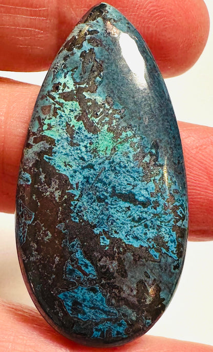 Azurite and Chrysocolla Cabochons SP7829 A-D