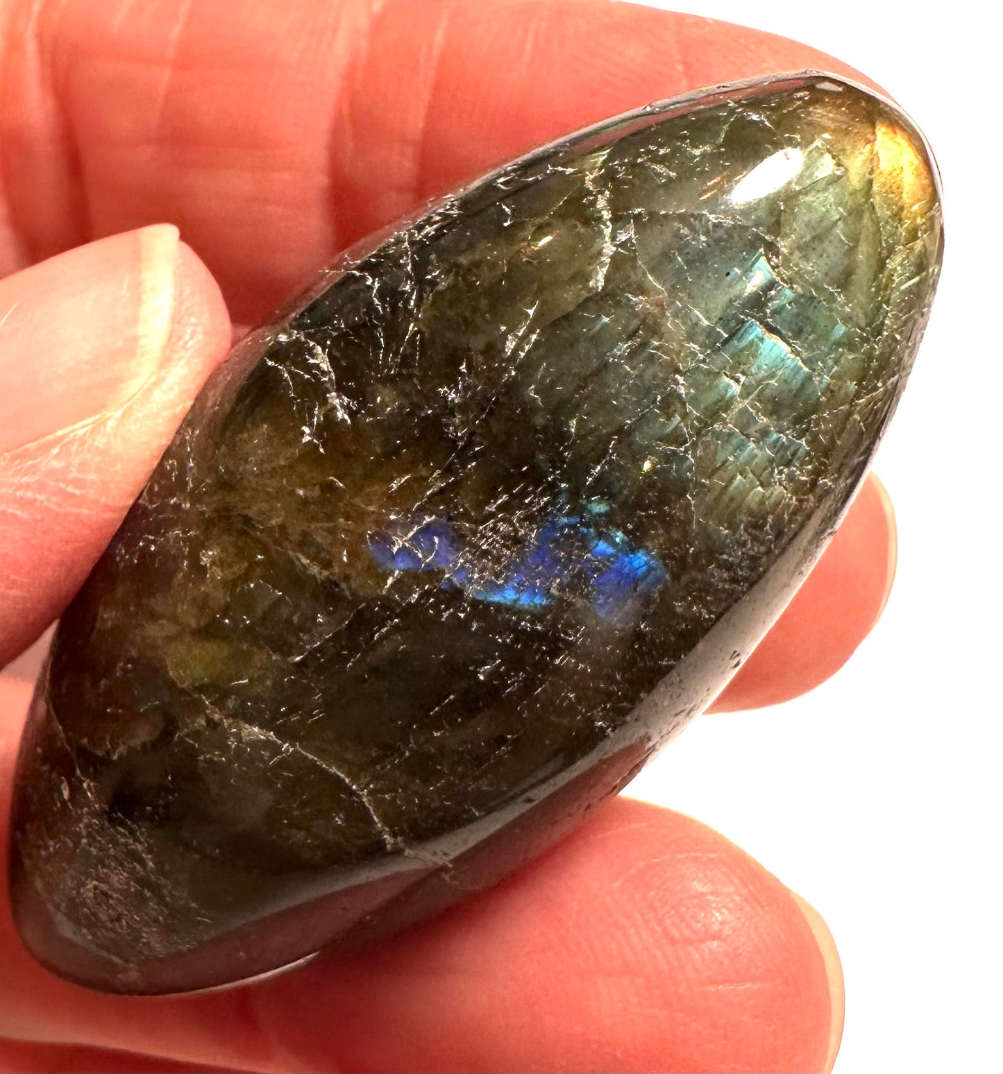 Labradorite Shiva Stones – Approx. 2" #NC7863A – D