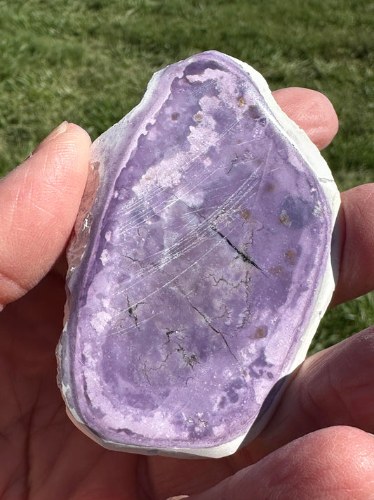 Genuine Tiffany Stone from Utah Partially Polished Collector Specimen #NC7974