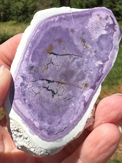 Genuine Tiffany Stone from Utah Partially Polished Collector Specimen #NC7972