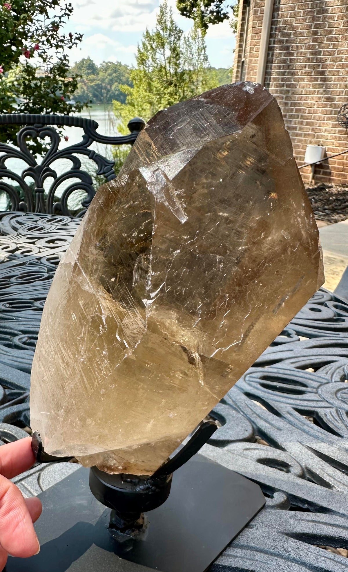 Giant 2.2 kg Natural Elestial Citrine Crystal with Rainbows and Self Healing from Brazil 9 Inches Tall #NC7955