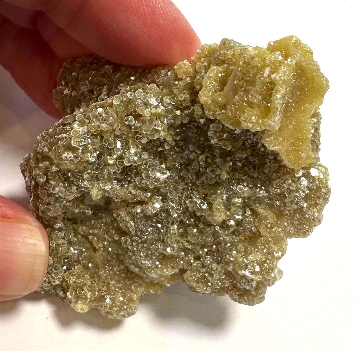 Golden Mica with Albite Feldspar Specimen 2½" × 1¾" #NC7920