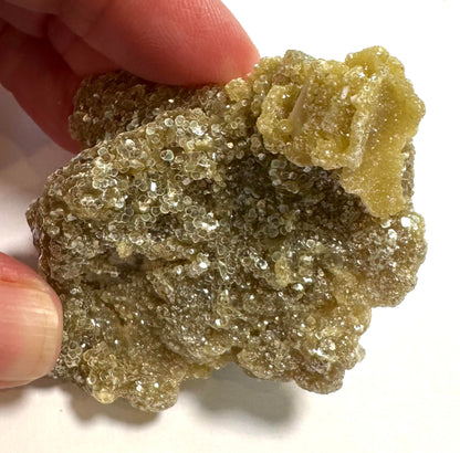 Golden Mica with Albite Feldspar Specimen 2½" × 1¾" #NC7920