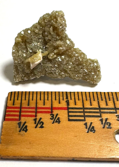 Golden Mica with Albite Feldspar 1 1/2" #NC7915