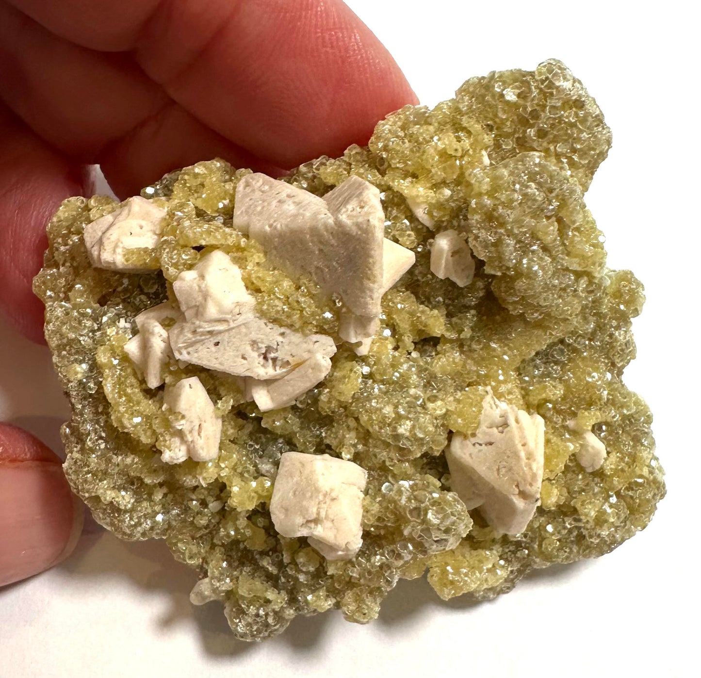 Golden Mica with Albite Feldspar Specimen 2½" × 1¾" #NC7920