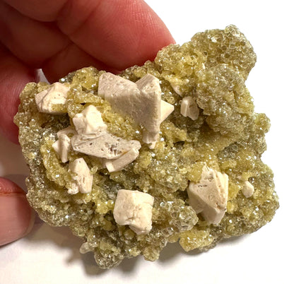 Golden Mica with Albite Feldspar Specimen 2½" × 1¾" #NC7920