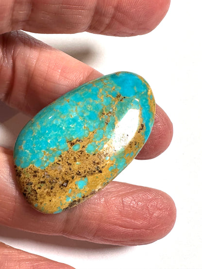 Hubei Turquoise Freeform Cabochon 22 x 40mm #CAB8005