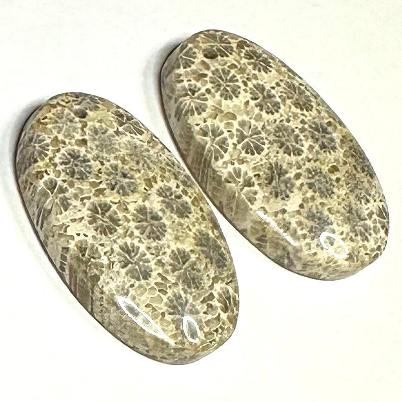 One of a Kind Fossil Coral Earring/Pendant Pair-31 x 19mm (SP5092)