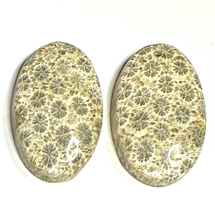 One of a Kind Fossil Coral Earring/Pendant Pair-31 x 19mm (SP5092)