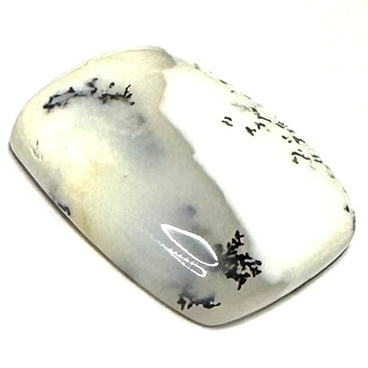One of Kind Dendritic Agate Cabochon-26 x 20mm (CAB5125)