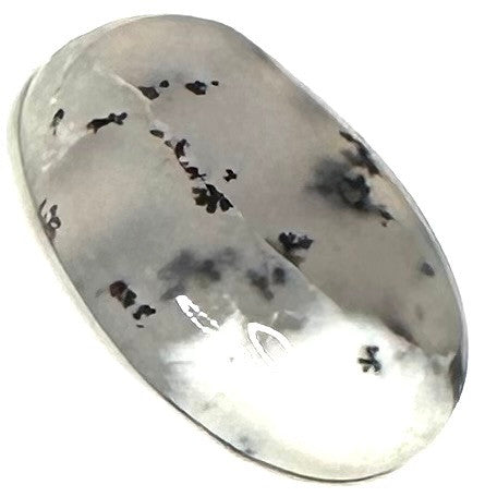 One of a Kind Dendritic Agate Cabochon-25 x 18mm (CAB5129)