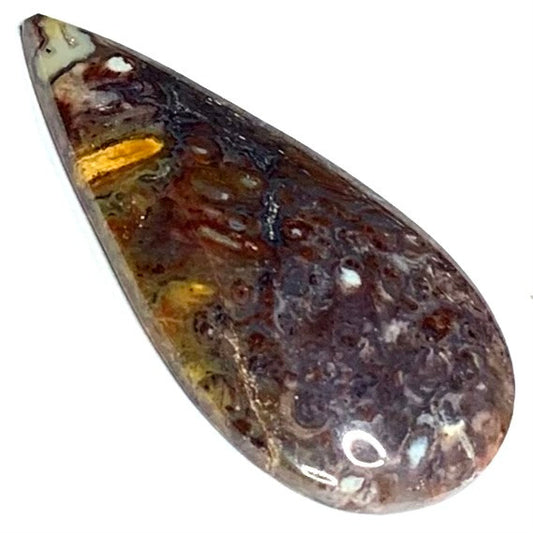 One of a Kind Stromatolite Fossil Cabochon-42 x 22mm (CAB4743)
