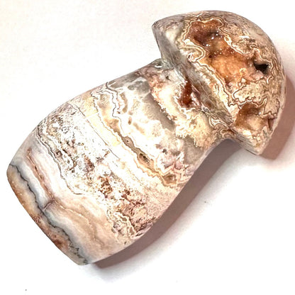 One of a Kind Crazy Lace Agate Druzy Mushroom Stone-3 x 1 1/2" (NC5229)