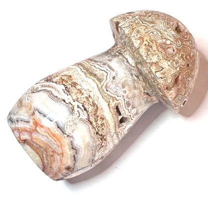 One of a Kind Crazy Lace Agate Druzy Mushroom Stone-3 x 1 1/2" (NC5229)