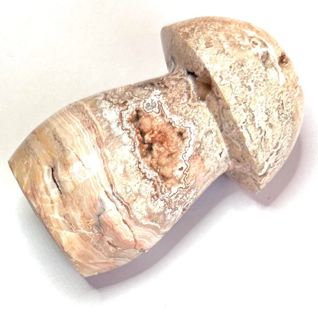 One of a Kind Crazy Lace Agate Druzy Mushroom Stone-2 1/2 x 1 1/4" (NC5230)