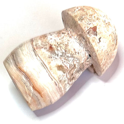 One of a Kind Crazy Lace Agate Druzy Mushroom Stone-2 1/2 x 1 1/4" (NC5230)