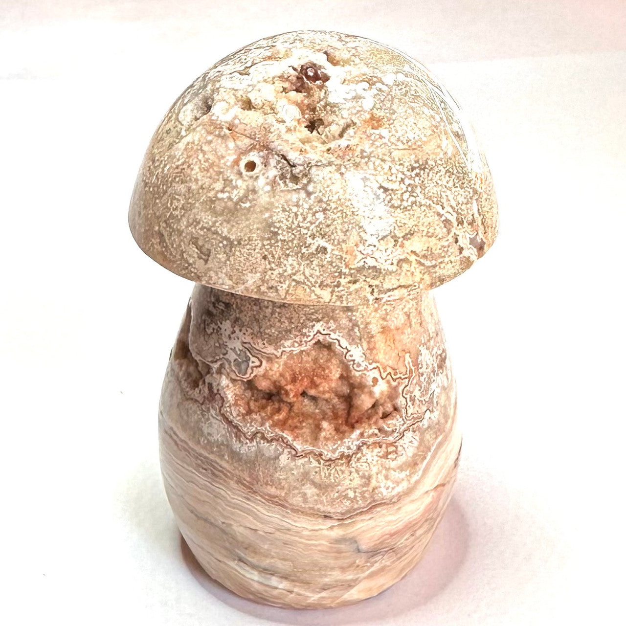 One of a Kind Crazy Lace Agate Druzy Mushroom Stone-2 1/2 x 1 1/4" (NC5230)