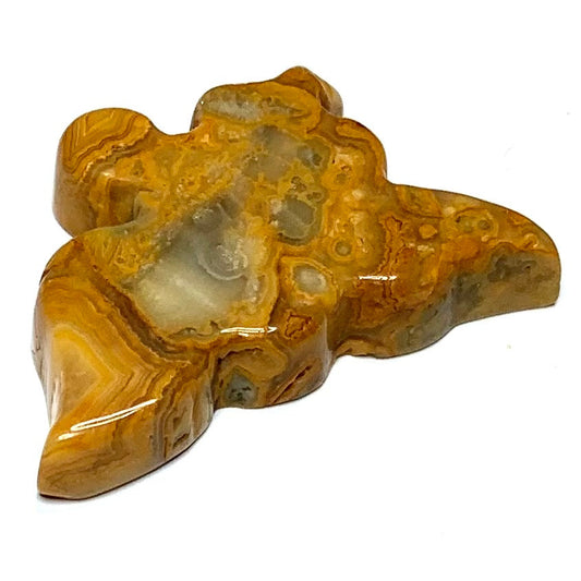 One of a Kind Carved Crazy Lace Agate Soaring Bird Cabochon-48 x 30mm (CAB4820)