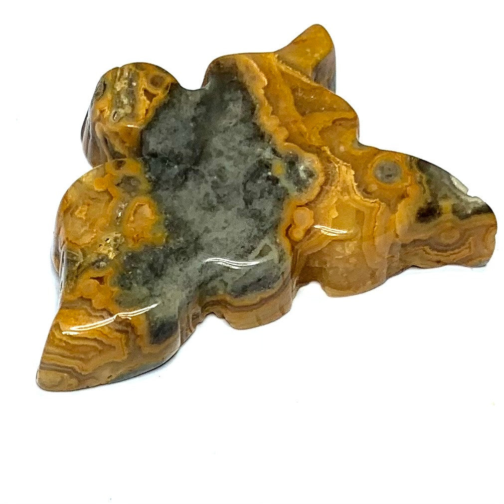 One of a Kind Carved Crazy Lace Agate Soaring Bird Cabochon-49 x 33mm (CAB4821)