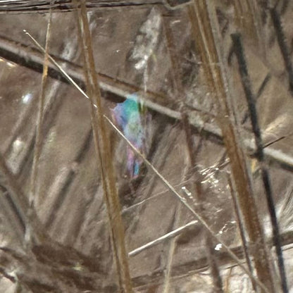One of a Kind Rutile Quartz Crystal Freeform Stone-2 1/2 x 2"