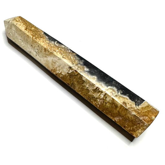 One of a Kind Fossilized Palm Root Stone Tower-4 x 3/4"-NC5284 (NC5284)
