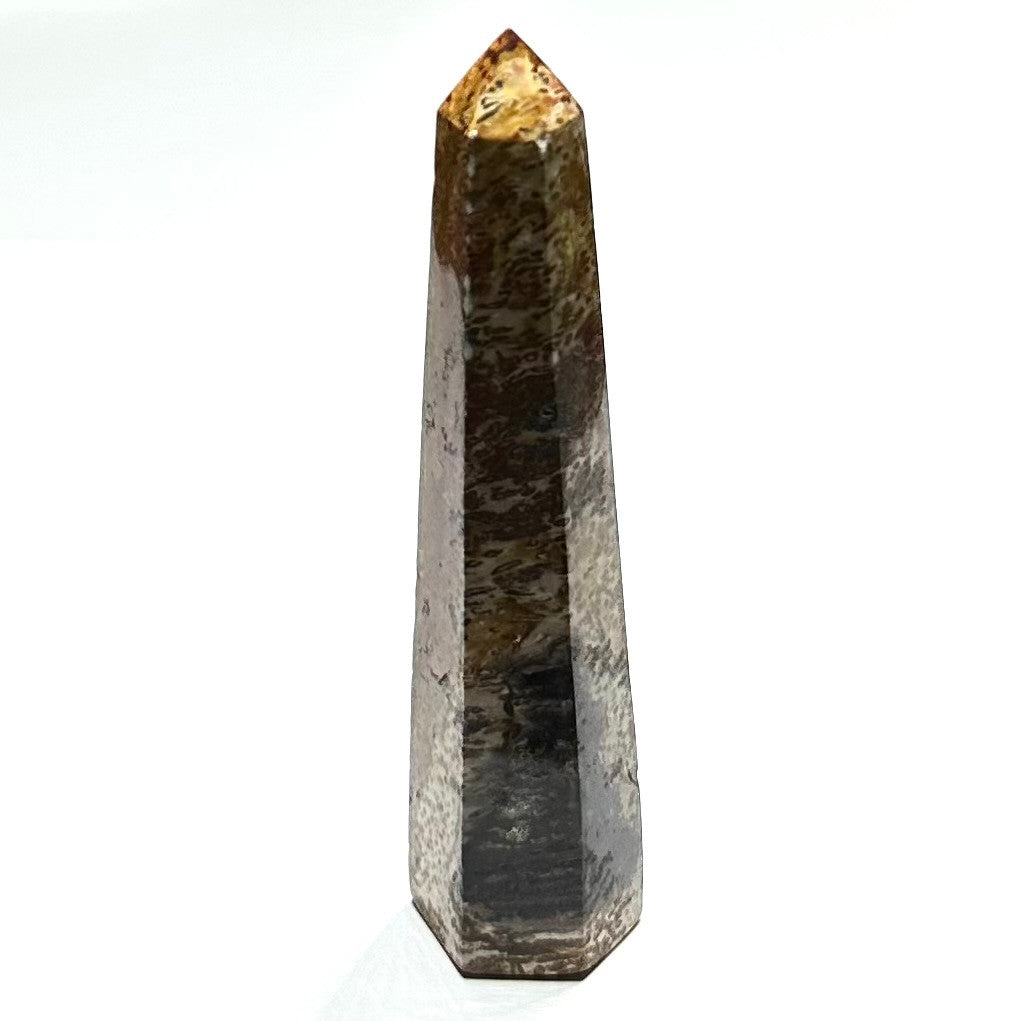 One of a Kind Fossilized Palm Root Stone Tower-4 x 1" (NC5286)