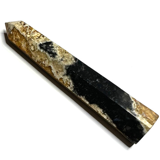 One of a Kind Fossilized Palm Root Stone Tower-4 1/2 x 1" (NC5287)