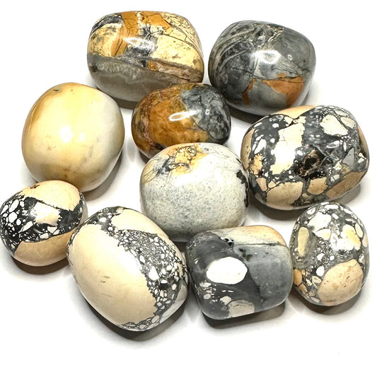 One of a Kind Lot of Tumbled and Polished Maligano Jasper Pocket Stones-19-27mm-NC5309