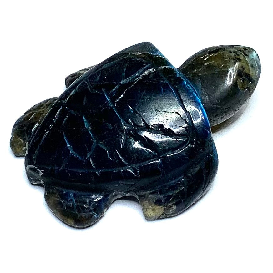 One of a Kind Carved Labradorite Sea Turtle-1 3/4 x 1 1/2"-NC4893 (NC4893)