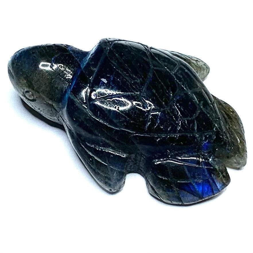One of a Kind Carved Labradorite Sea Turtle-1 3/4 x 1 1/2"-NC4894 (NC4894)