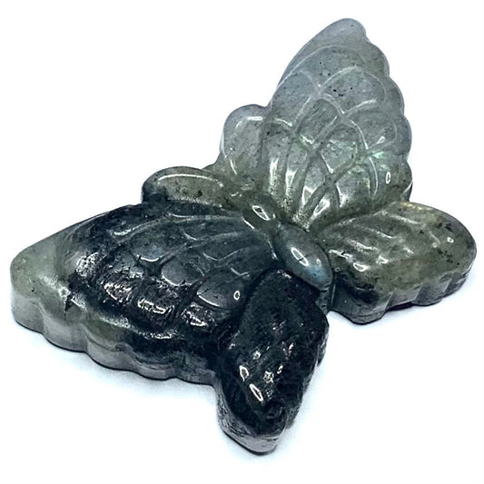 One of a Kind Carved Labradorite Butterfly Cabochon-53 x 33mm (CAB4920)