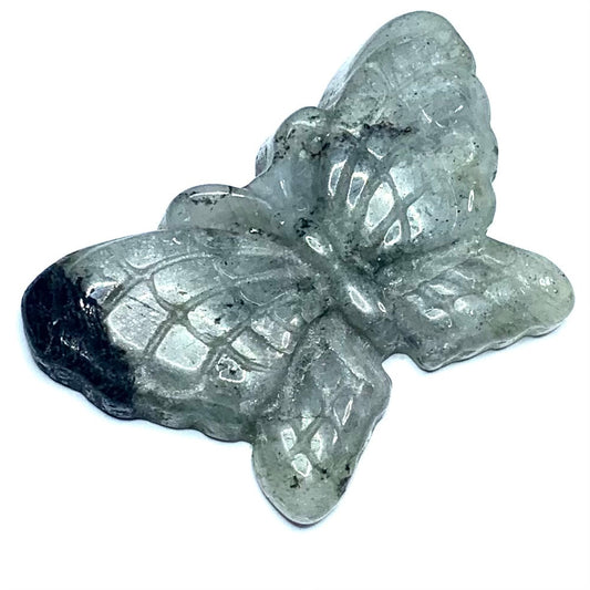 One of a Kind Carved Labradorite Butterfly Cabochon-48 x 33mm (CAB4921)