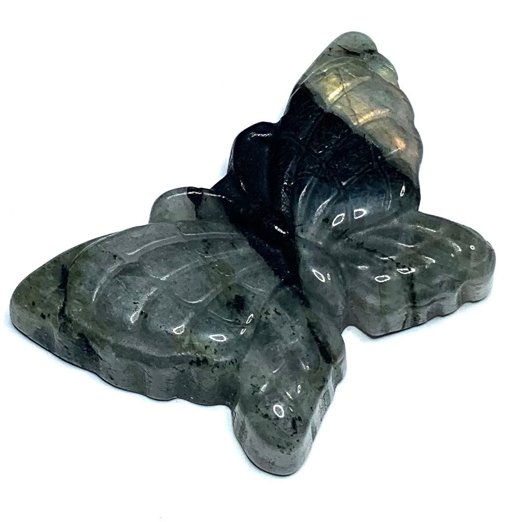 One of a Kind Carved Labradorite Butterfly Cabochon-53 x 33mm-CAB4922 (CAB4922)