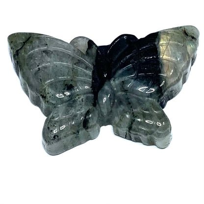 One of a Kind Carved Labradorite Butterfly Cabochon-53 x 33mm-CAB4922 (CAB4922)
