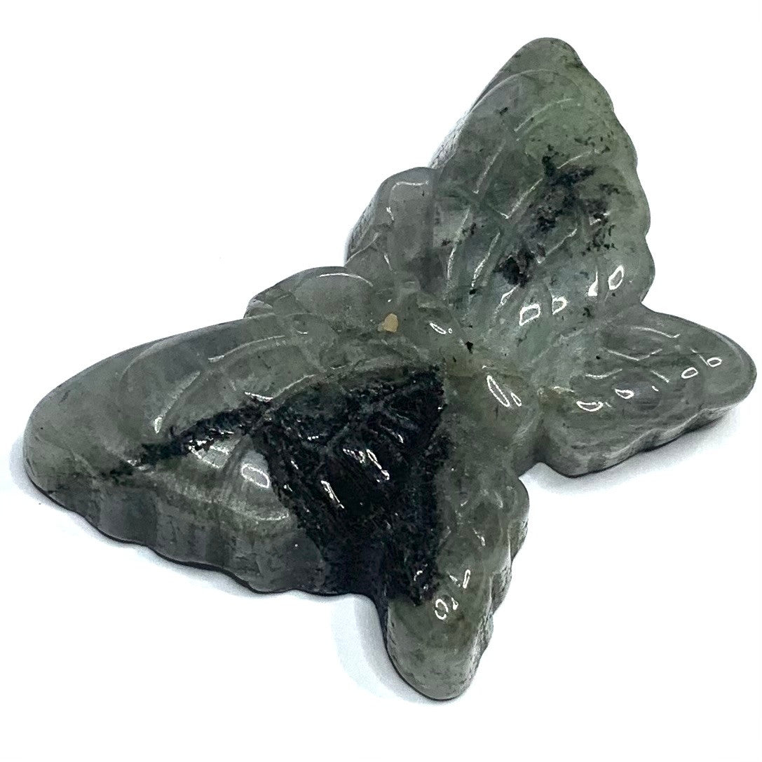 One of a Kind Carved Labradorite Butterfly Cabochon-51 x 32mm (CAB4924)