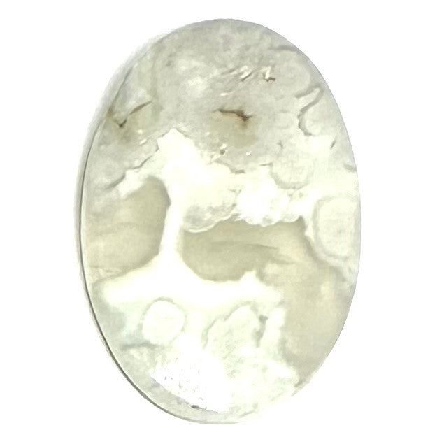One of a Kind Black Flower Agate Cabochon-32 x 23mm (CAB5362)