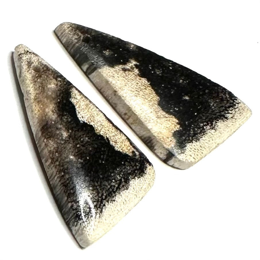 RARE-One of a Kind Petrified Palm Wood Earring/Pendant Pair-26 x 14mm-SP6436