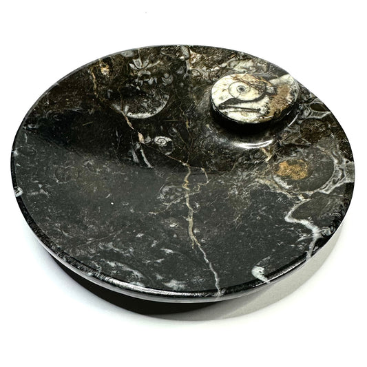 One of a Kind Orthoceras Fossil Carved Round Plate-4 1/4"-NC5647 (NC5647)