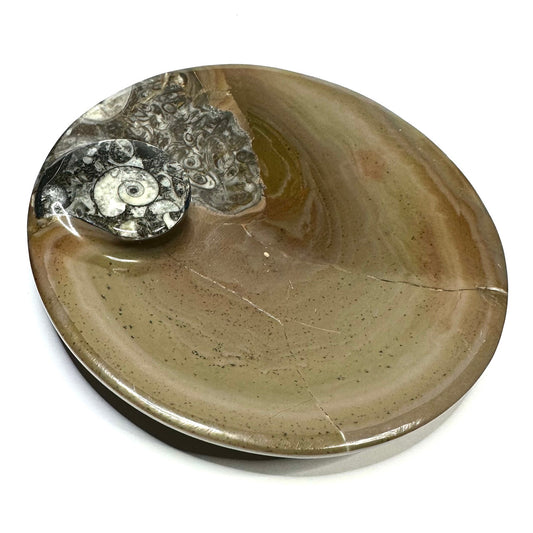 One of a Kind Orthoceras Fossil Carved Round Plate-4 1/2"-NC5648 (NC5648)