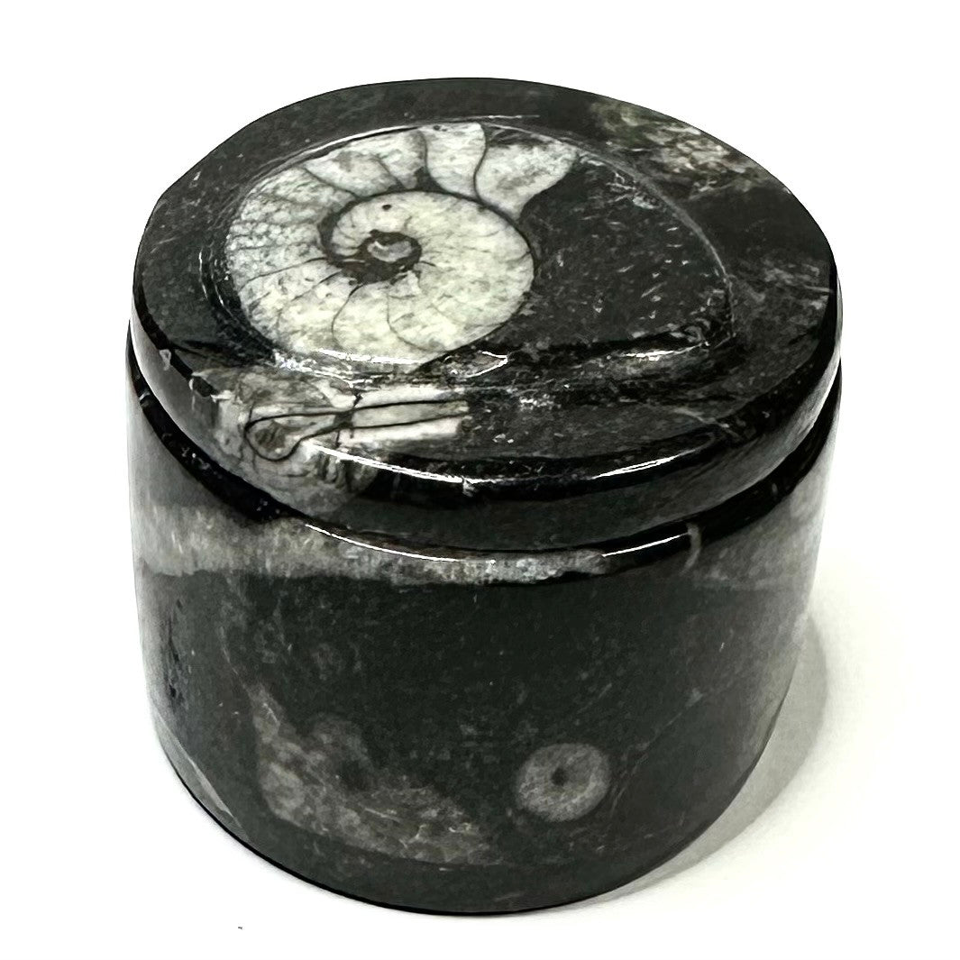 One of a Kind Orthoceras Carved Stone Jar-1 1/2 x 1 3/4"-NC5657 (NC5657)