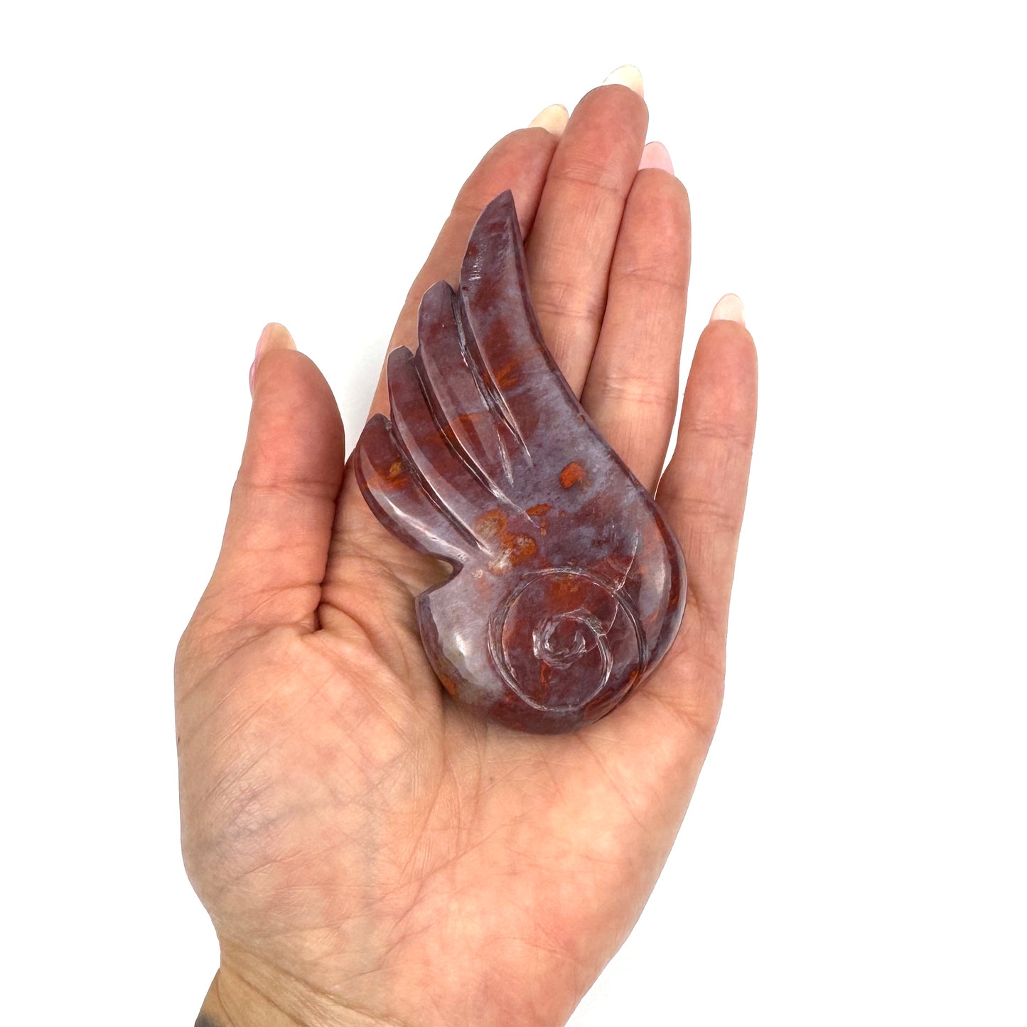 Master Carved Petrified Wood Angel Wing #333 3 1/2 x 1 3/4" - NC7670