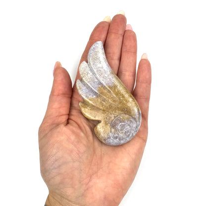 Master Carved Ocean Agate Angel Wing #777 3 1/2 x 1 3/4" - NC7667