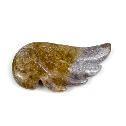 Master Carved Ocean Agate Angel Wing #777 3 1/2 x 1 3/4" - NC7667