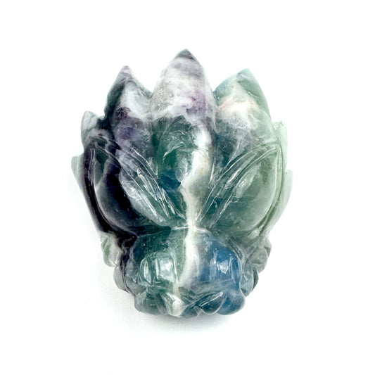 Master Carved Fluorite Angel #11:11 Dragon Skull 2 x 2 1/4 x 1" NC7709