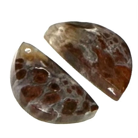 One of a Kind Plume Agate Earring/Pendant Pair-20 x 11mm (SP5849)