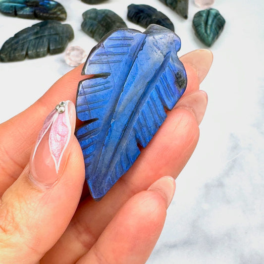 Flashy Labradorite Feather- 1.75" x 0.9"- NC7697