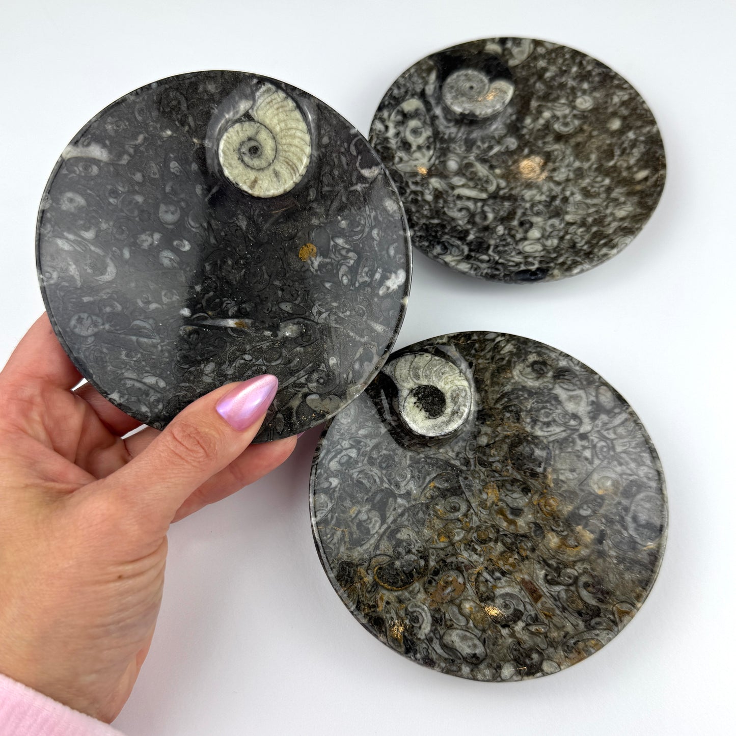 Orthoceras Fossil Plate- 4.35"-NC7680